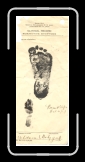 Mary L. Whitacre-Birth Record-Footprint * 3992 x 9700 * (36.34MB)