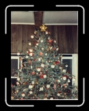 Sand Dollar Christmas Tree - 1982 - rt * 4744 x 6276 * (77.49MB)