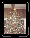 Sand Dollar Christmas Tree - 1982 * 4744 x 6276 * (37.18MB)